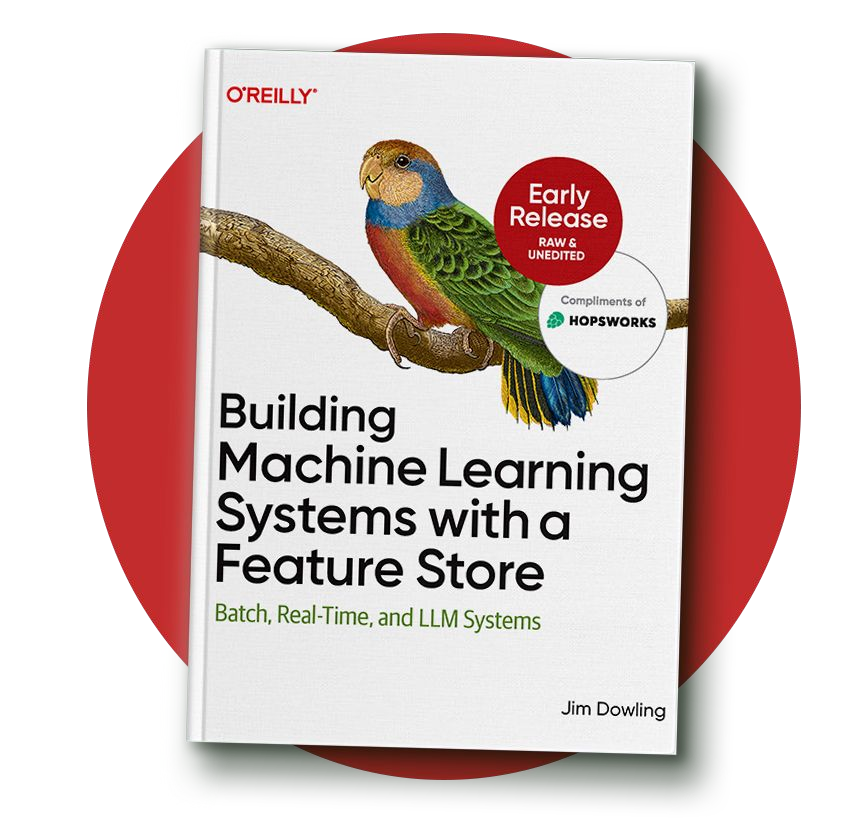 Building Machine Learning Systems with a Feature Store, O'Reilly, book cover